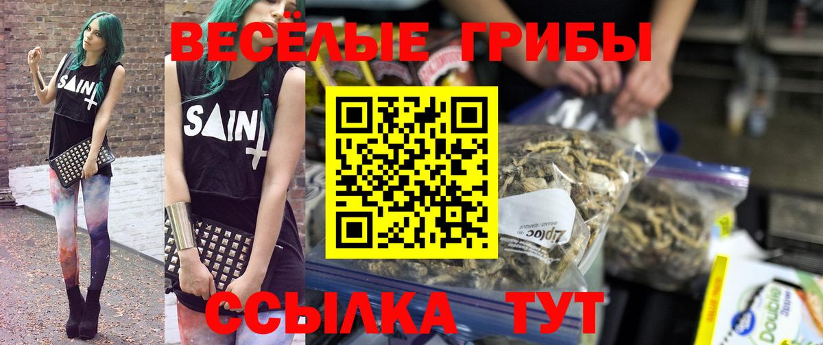 Галлюциногенные грибы GOLDEN TEACHER Ивантеевка