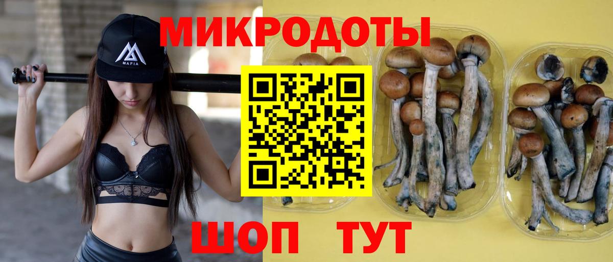 Ивантеевка  Галлюциногенные грибы мухоморы  Вход с VPN 